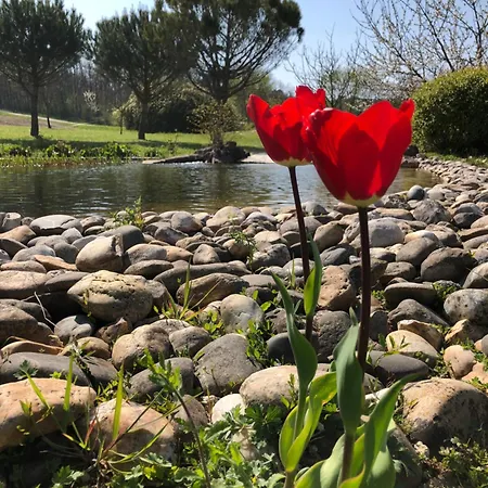 Le Hameau Des Coquelicots *